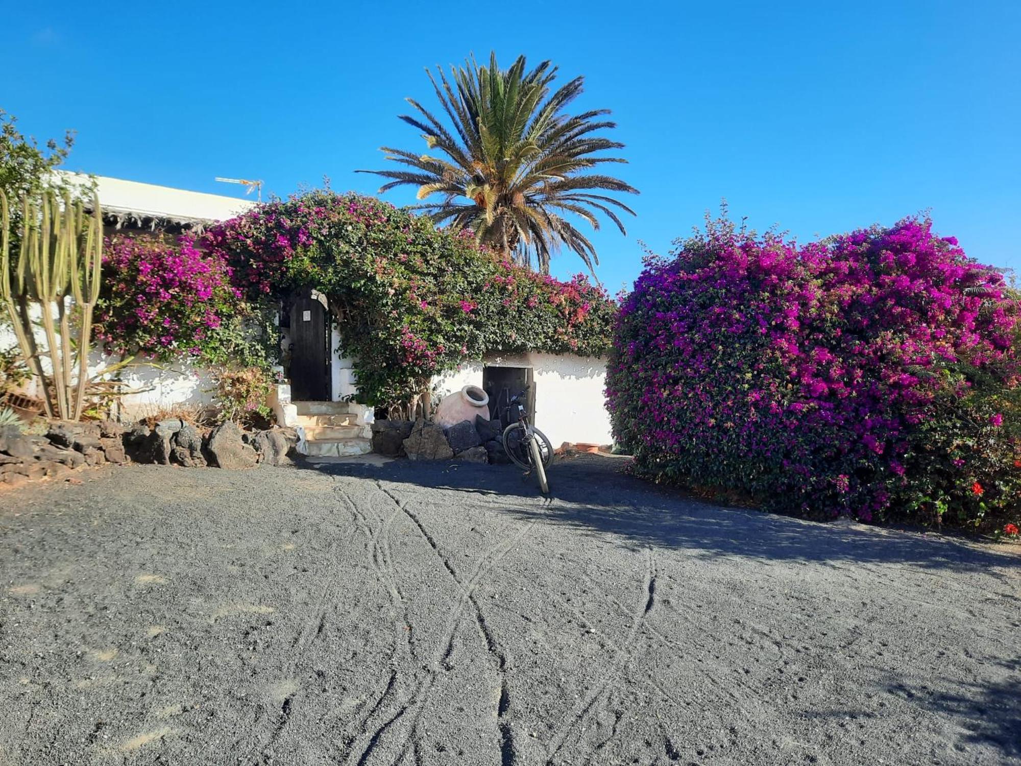 Casa De Gato Rustic Finca Tahiche Exterior foto